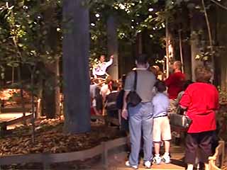  Indiana:  United States:  
 
 Forest Discovery Center